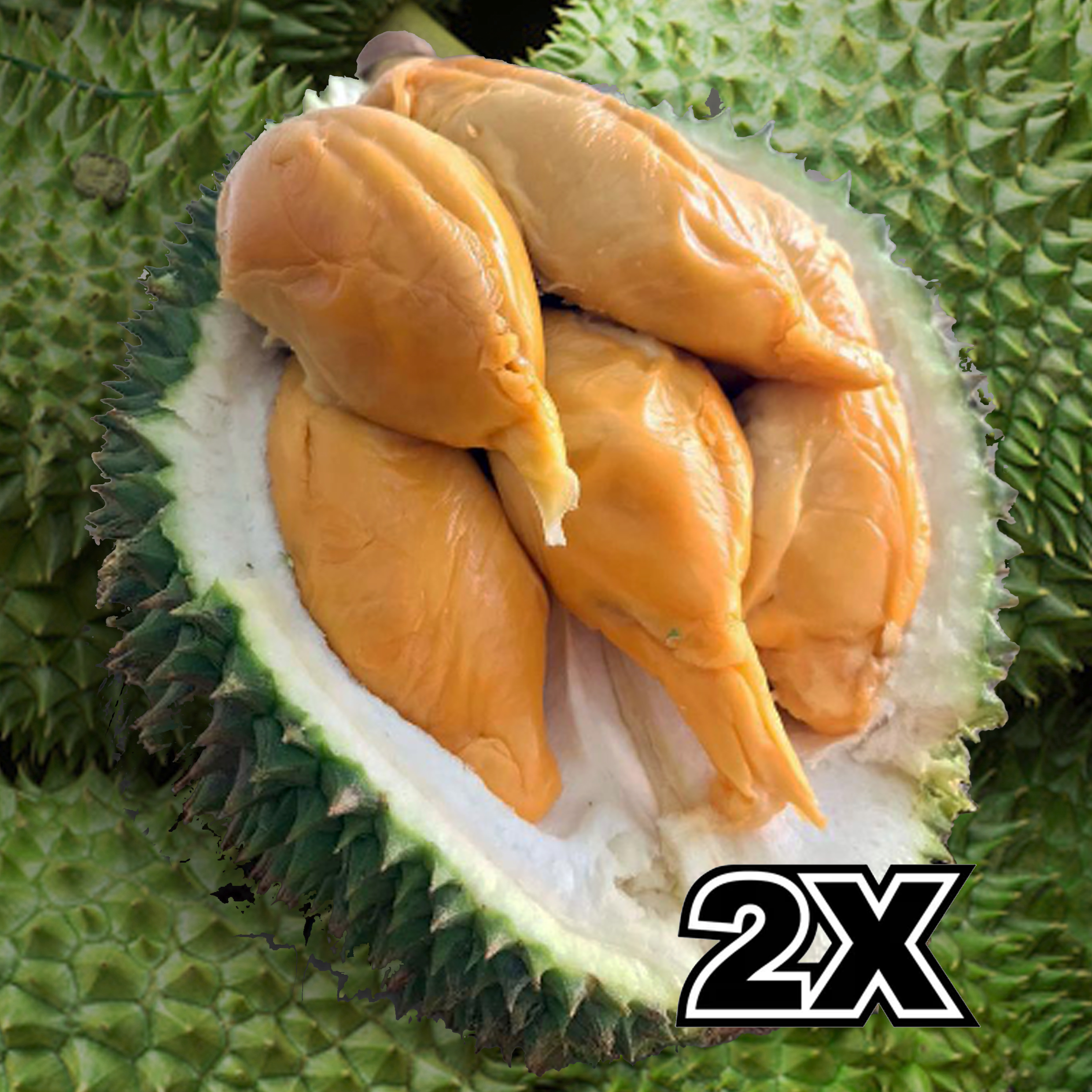 🔥 BUNDLE: D13 Red Prawn (2 x 800g)