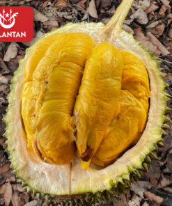 ⭐ Kelantan Black Gold MSW (800g Box - All Meat)