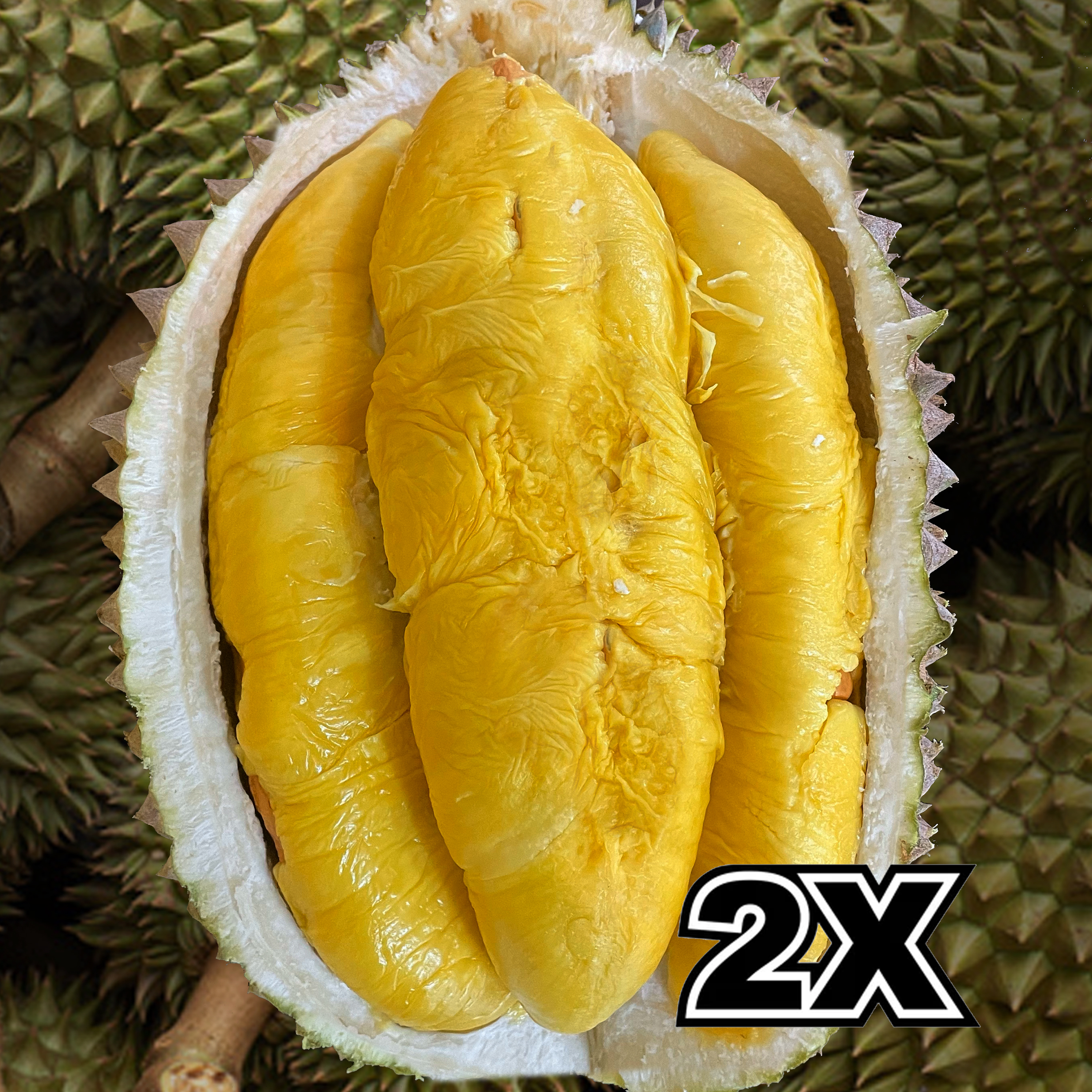 ⭐ BUNDLE: Tiger Old Tree MSW Durian (2 x 800g)